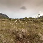 Alojamento de Turismo Selvagem Haugteig
