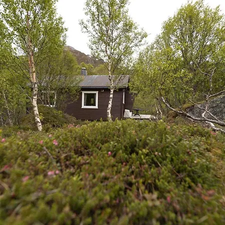 山林小屋 Haugteig Lyngværet