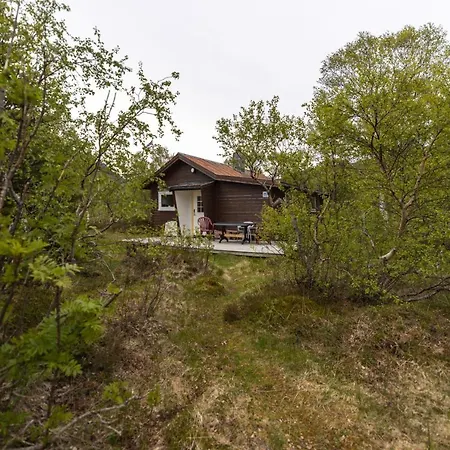 Haugteig * Lyngværet