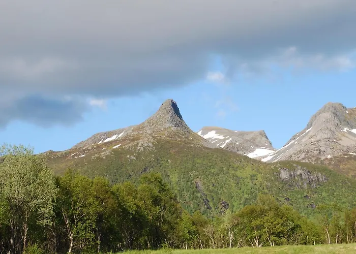 Lodge Haugteig Lyngværet