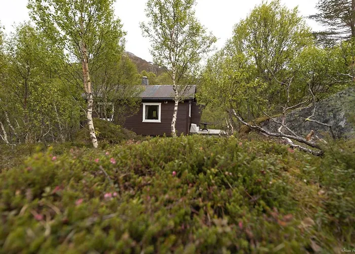 Lodge Haugteig Lyngværet